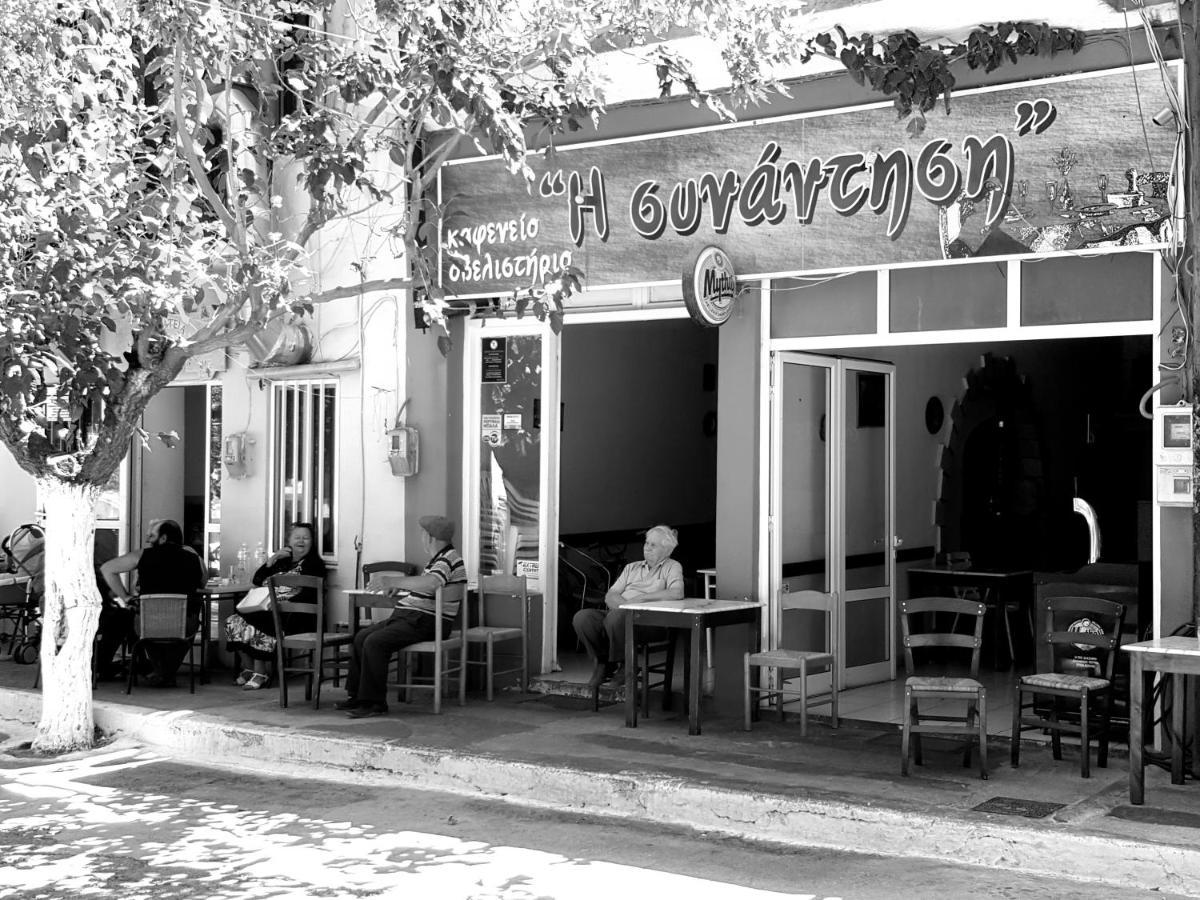 Villa Daniela & Apartments Koutsounari Exterior foto